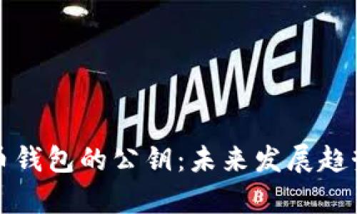 如何查看比特币钱包的公钥:未来发展趋势与安全性解析