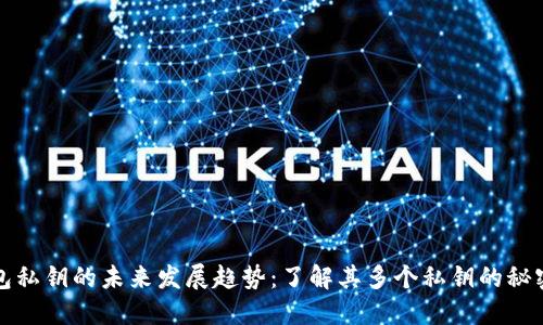 比特币钱包私钥的未来发展趋势:了解其多个私钥的秘密与安全性