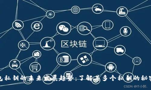 比特币钱包私钥的未来发展趋势:了解其多个私钥的秘密与安全性