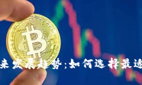 比特币钱包未来发展趋势:如何选择最适合的下载选项