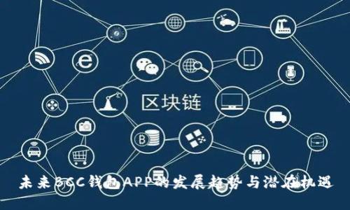 未来BCC钱包APP的发展趋势与潜在机遇