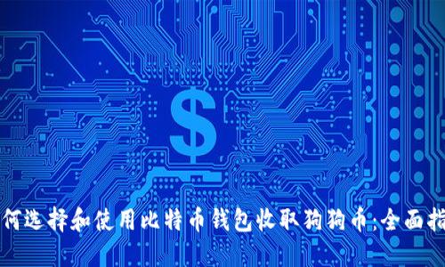 如何选择和使用比特币钱包收取狗狗币：全面指南