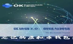 如何找回忘记的虚拟币钱包:全面指南