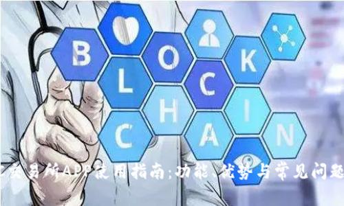 BTCC交易所APP使用指南：功能、优势与常见问题解析