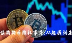 全面解读狗狗币维权事件：从起因到未来发展