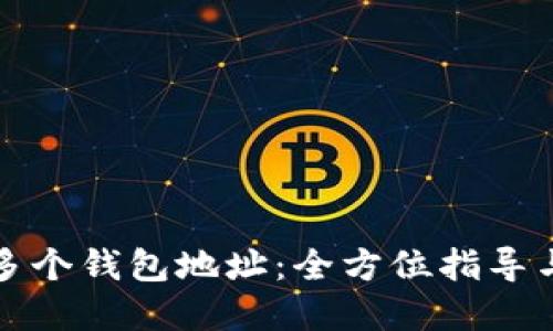 如何导入多个钱包地址:全方位指导与最佳实践