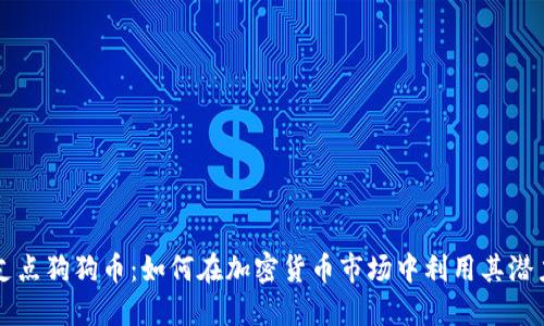 支点狗狗币：如何在加密货币市场中利用其潜力