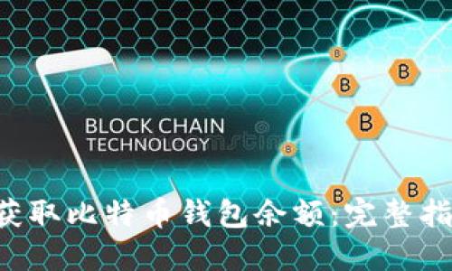 如何通过API获取比特币钱包余额:完整指南与实用技巧