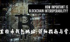 如何设置莱特币钱包地址:详细指南与常见问题