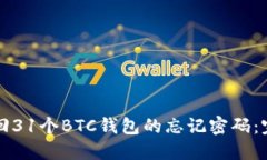 如何找回31个BTC钱包的忘记密码:完整指南