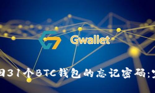 如何找回31个BTC钱包的忘记密码:完整指南