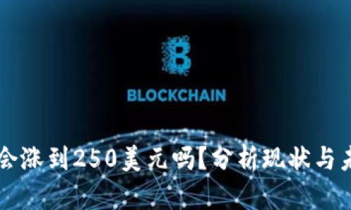 狗狗币会涨到250美元吗?分析现状与未来潜力