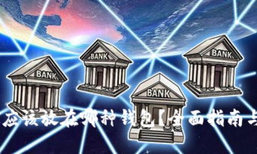 USDT应该放在哪种钱包？全面指南与建议