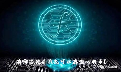 有哪些优质钱包可以存储比特币？