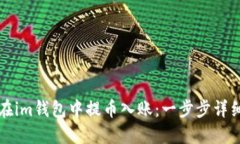 如何在im钱包中提币入账：一步步详细指南