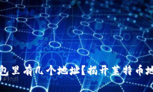 莱特币钱包里有几个地址？揭开莱特币地址的奥秘